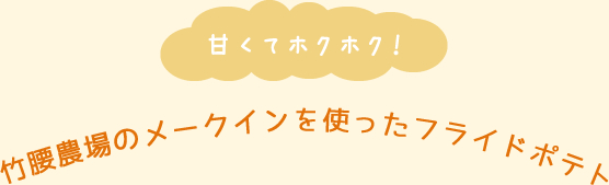 甘くてホクホク！竹腰農場のメークインを使ったフライドポテト