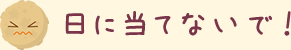 日に当てないで！